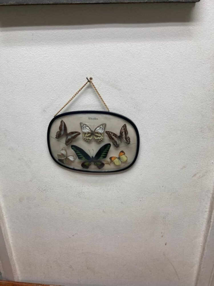 messenger_creation_a6ae4b51-a1de-4d74-a567-9424ea2607695004693947726891250-750x1000